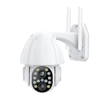 Ycc365 Plus ip Camera | Guide
