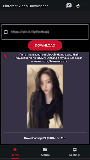 Pinterest Video Downloader Screenshot 3