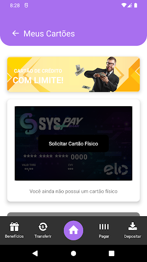 SYSPay Bank Screenshot 1