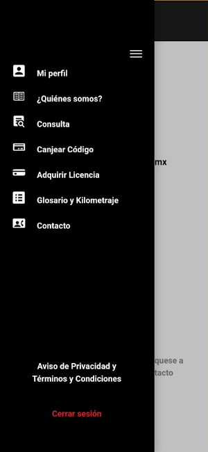 Autometrica Screenshot 0