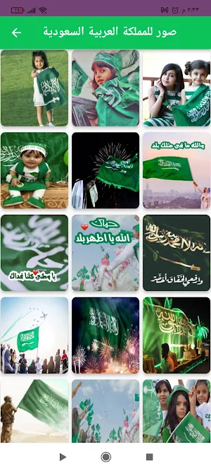 رمزيات للمملكةالعربيةالسعودية Screenshot 1