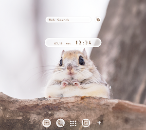 Ezo Flying Squirrel Theme Screenshot 0