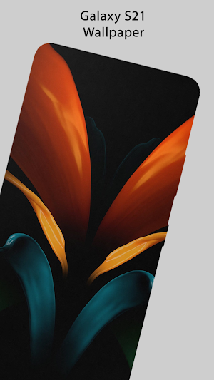 Theme & Wallpaper for Samsung  Screenshot 2