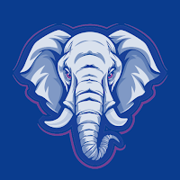 Elephant Match Bet