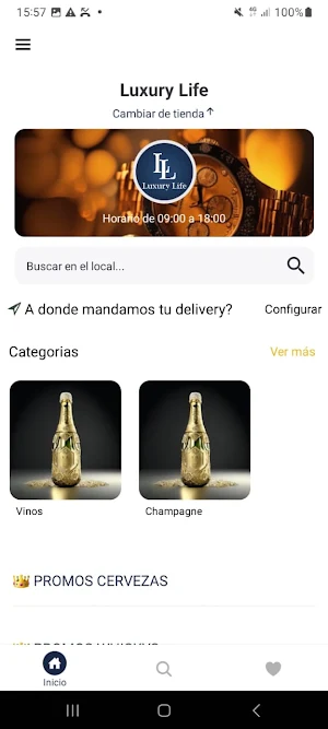 Luxury Life Screenshot 2