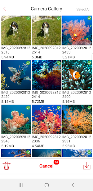 ReefMaster Screenshot 2