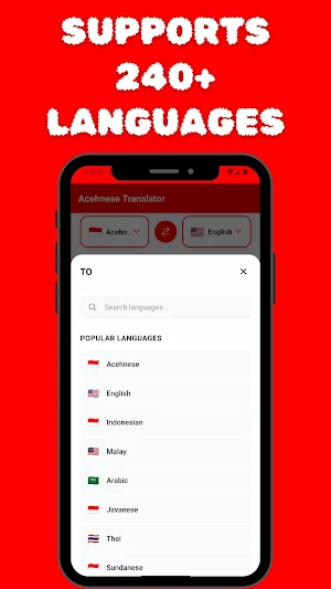 Acehnese Translator Screenshot 3