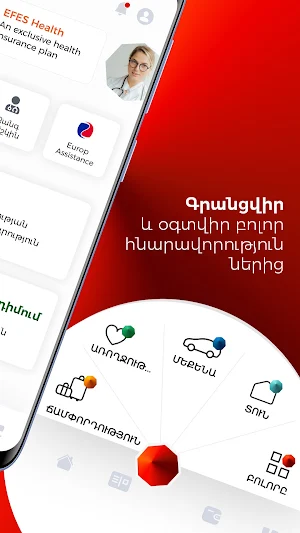 EFES Insurance Screenshot 2