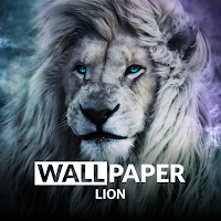 Lion HD Wallpaper