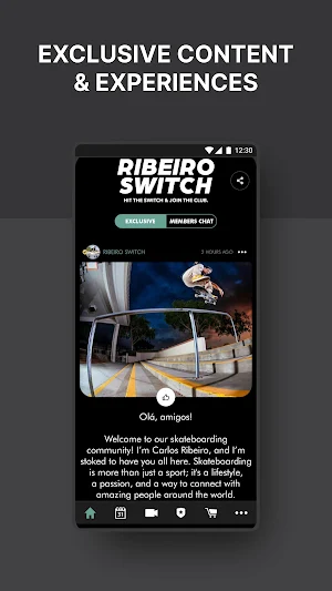 Ribeiro Switch Screenshot 1