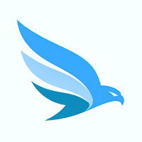 Falcon X VPN