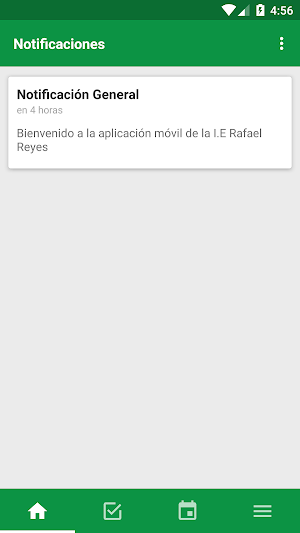 I.E Rafael Reyes Screenshot 3