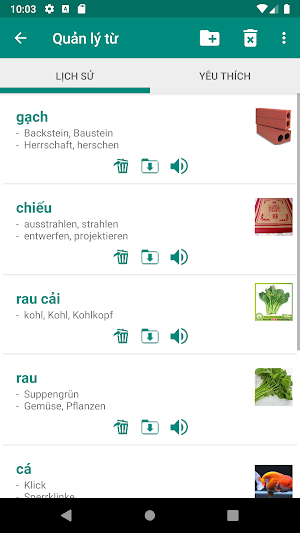 Vietnamese German Dictionary Screenshot 3