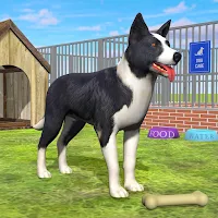 Pet Animal Shelter Rescue Game