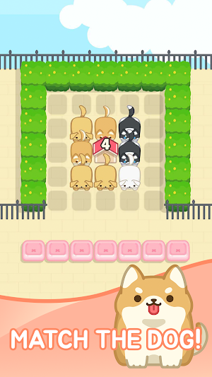 Doge Jam : Match Screenshot 0