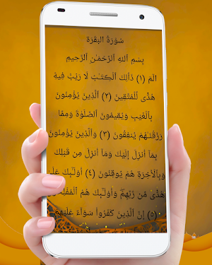 Yasser Al-Dossari Quran mp3 Screenshot 1