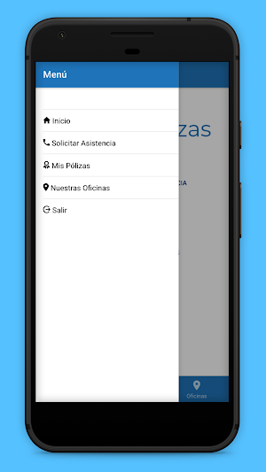 NetPolizas Screenshot 2