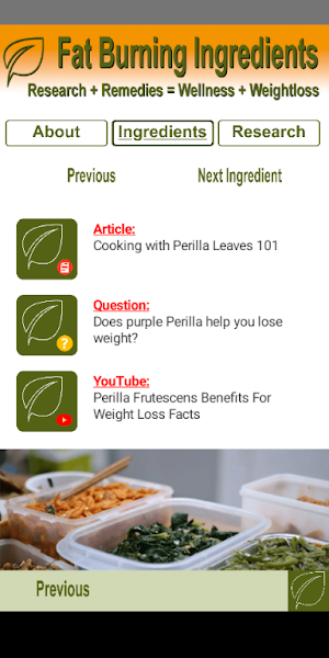 Fat Burning Ingredients Screenshot 1
