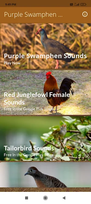 Purple Swamphen Sounds Screenshot 0