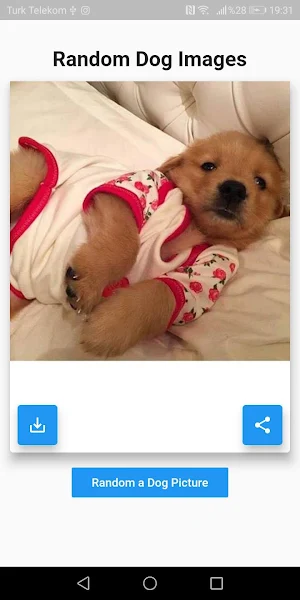 Random Animal Pictures Screenshot 2