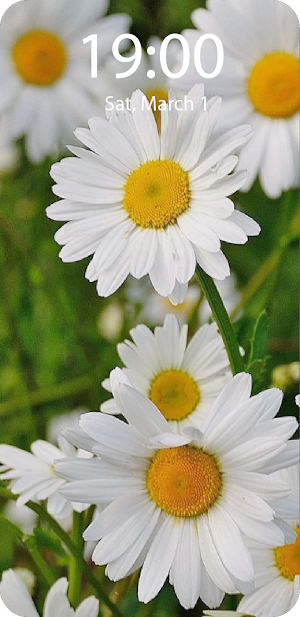 Spring Live Wallpaper Parallax Screenshot 2