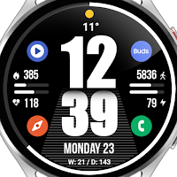 WFP 244 Big Bold Watch Face
