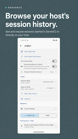 ServerCC - Claude Code & Codex Screenshot 3