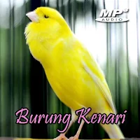 Masteran Kenari Gacor MP3