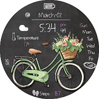 BFF117- Blackboard Art Bicycle