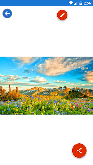 Garden, Landscape, Spring, Tree Wallpapers Screenshot 3