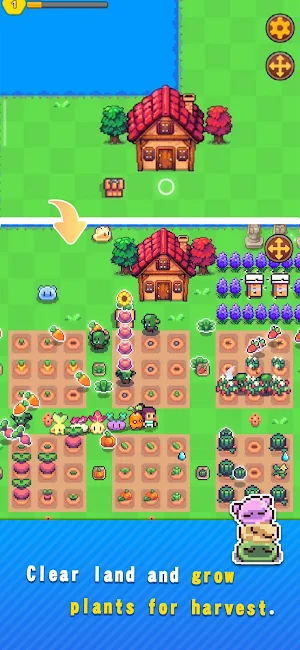 Island Times: Easy Life Screenshot 1