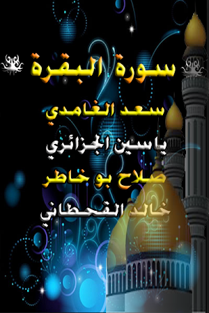 سورةالبقرة - ابو خاطر- القحطان - الغامدي - ياسين Screenshot 0