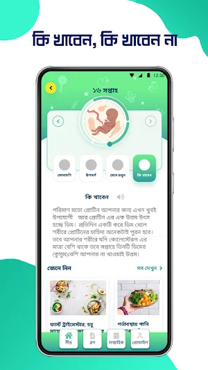 Mayer Hasi Screenshot 3