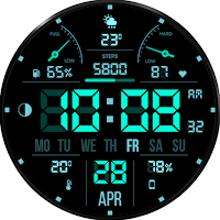 WFP 104 Digital watch face