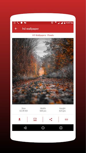 Free Image Download App Screenshot 1