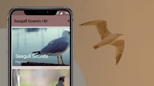 Seagulls Sounds Screenshot 1