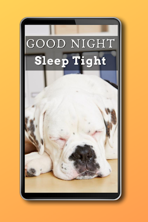 Good Night Quotes 2020 Screenshot 3