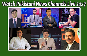 All Pakistani News Channels Screenshot 0
