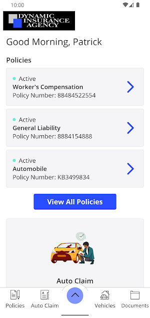 Dynamic Insurance Online Screenshot 1