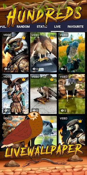 hawk wallpaper Screenshot 2