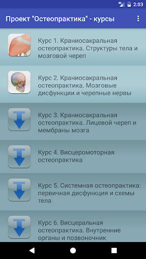 Проект "Остеопрактика" Screenshot 2