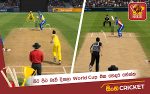 Sinha Cricket Sri Lanka Screenshot 1