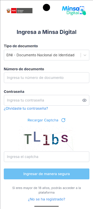 Minsa Digital Screenshot 1