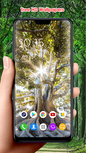Tree HD Wallpapers Screenshot 3