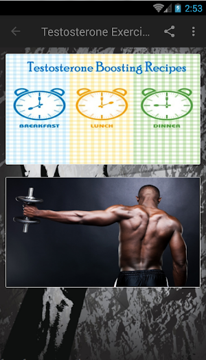 Testosterone Exercices and Recipes Screenshot 1