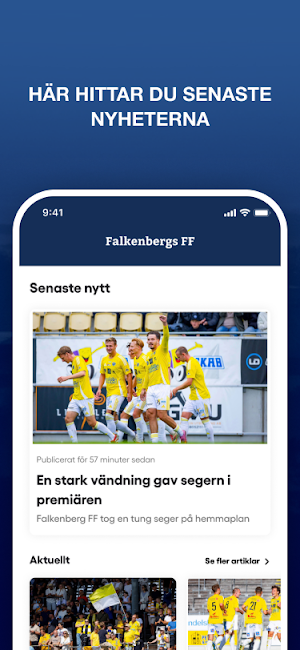 Falkenbergs FF Screenshot 2