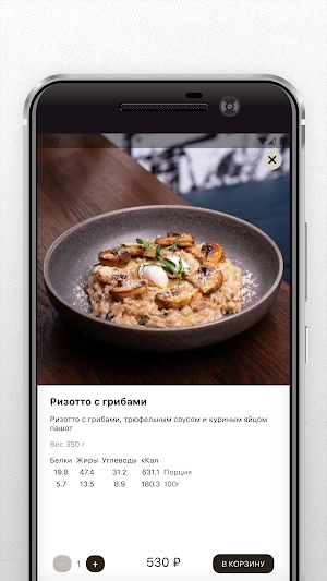 ПРАКТИКА - БИСТРО Screenshot 3
