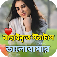 বাংলা স্ট্যাটাস ও ক্যাপশন 2024