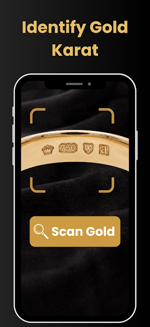Gold Purity Identifier Screenshot 0