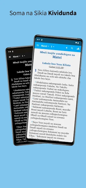 Biblia Kividunda Vidunda Bible Screenshot 0